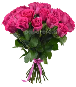 25 ярко розовых роз 50 см