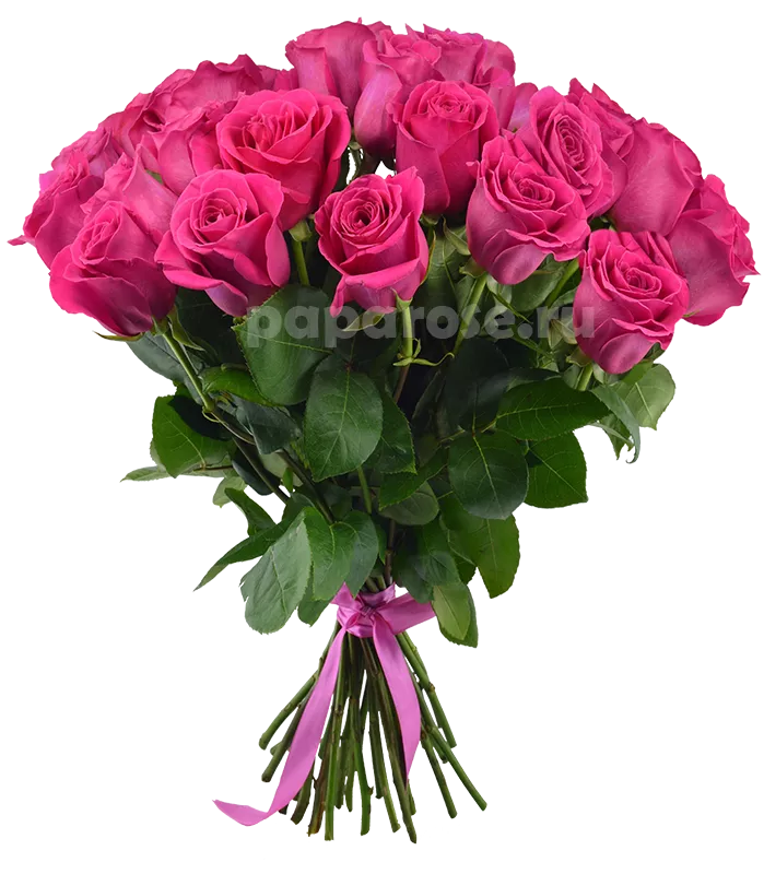 25 ярко розовых роз 50 см