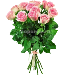 15 нежно розовых роз