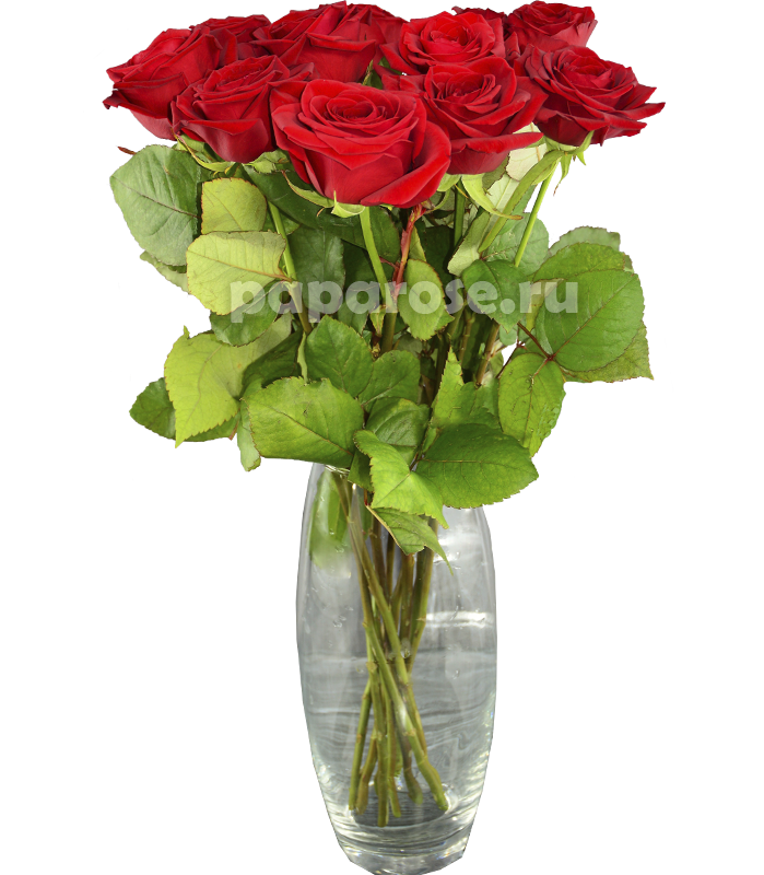 11 красных роз в вазе