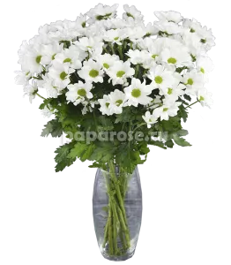 9 белых кустовых хризантем в вазе