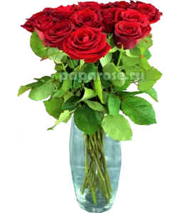 15 красных роз в вазе