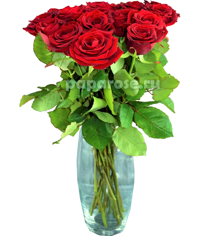 15 красных роз в вазе