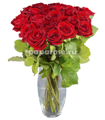 25 красных роз в вазе