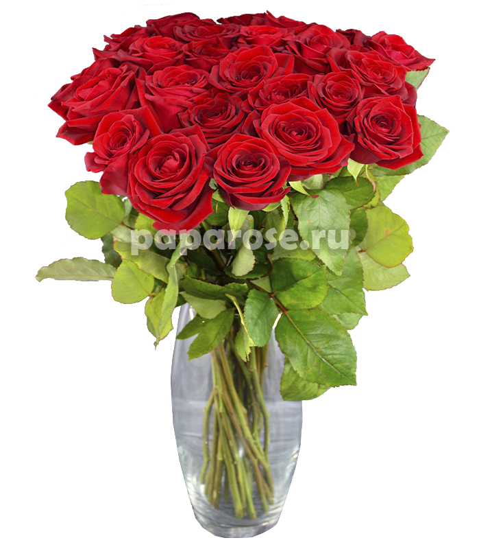 25 красных роз в вазе
