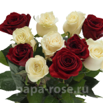 11 бело-красных роз