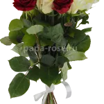 15 роз бело-красных 60 см